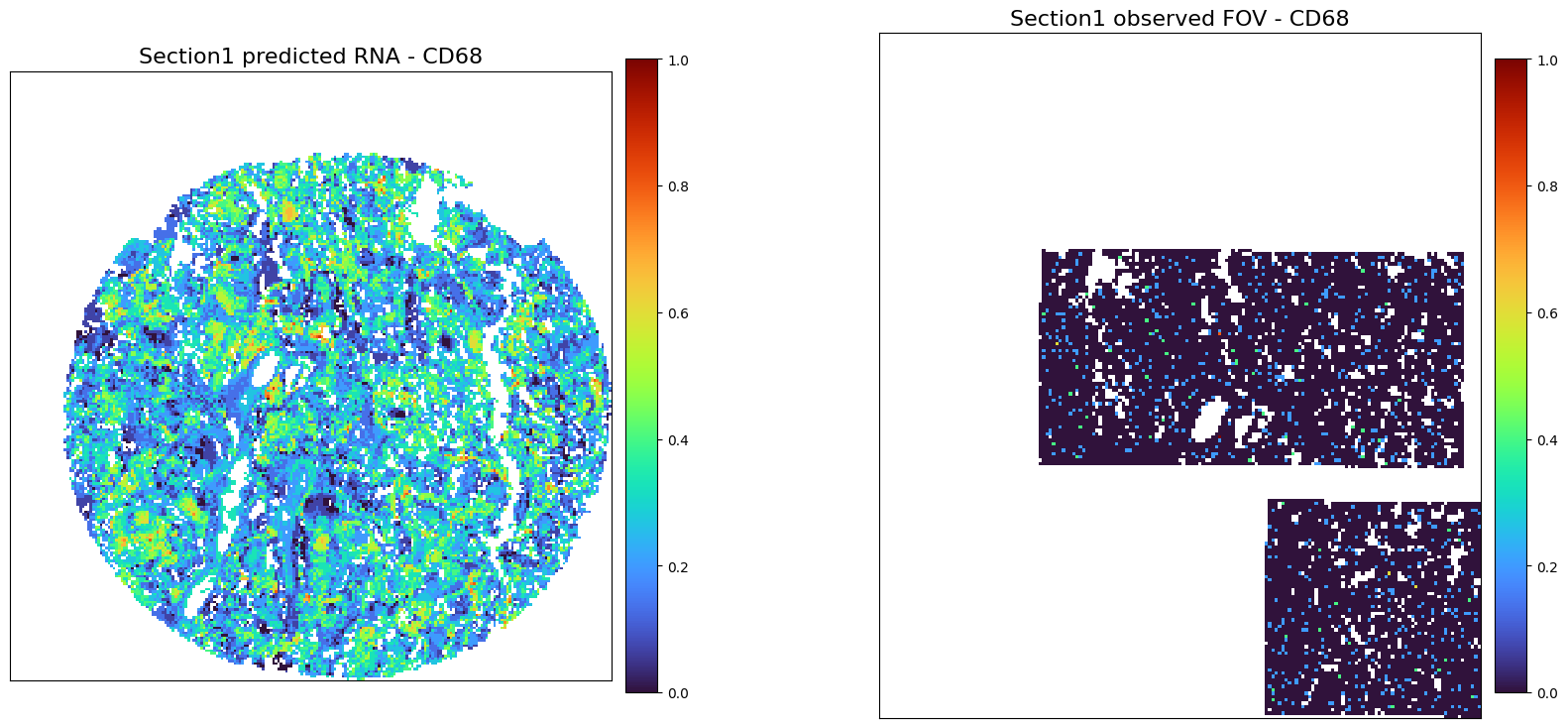 ../_images/notebooks_Tutorial10_B_cell_lymphoma%28CosMx_CODEX%29_24_0.png