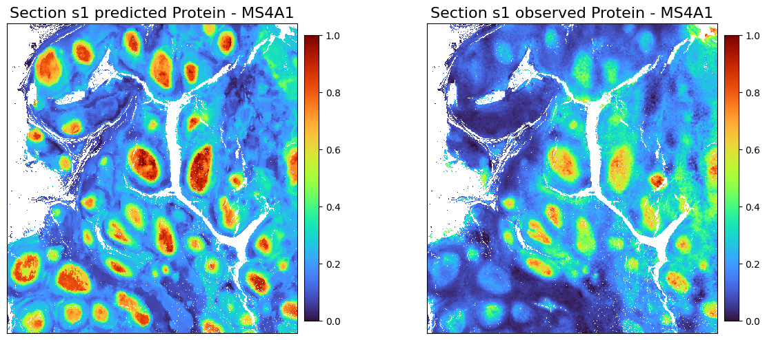 ../_images/notebooks_Tutorial11_Tonsil%2810x_Visium_Spatial_Gene_Protein%29_29_0.png
