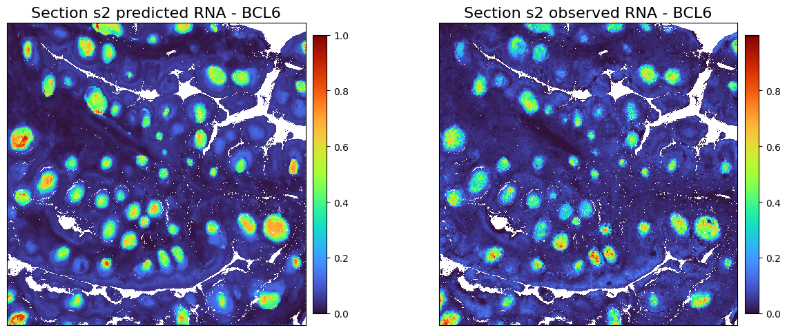 ../_images/notebooks_Tutorial11_Tonsil%2810x_Visium_Spatial_Gene_Protein%29_34_0.png