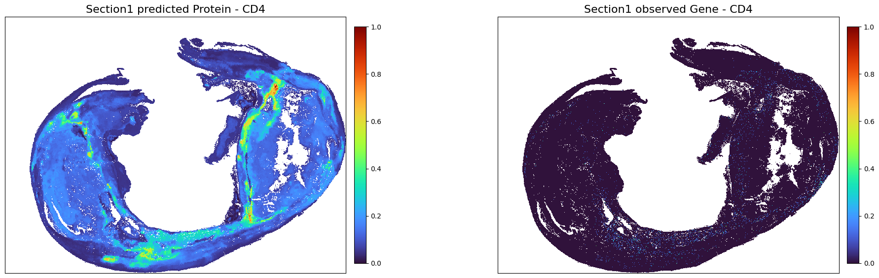 ../_images/notebooks_Tutorial2_Atherosclerosis%28Xenium_CODEX%29_45_0.png