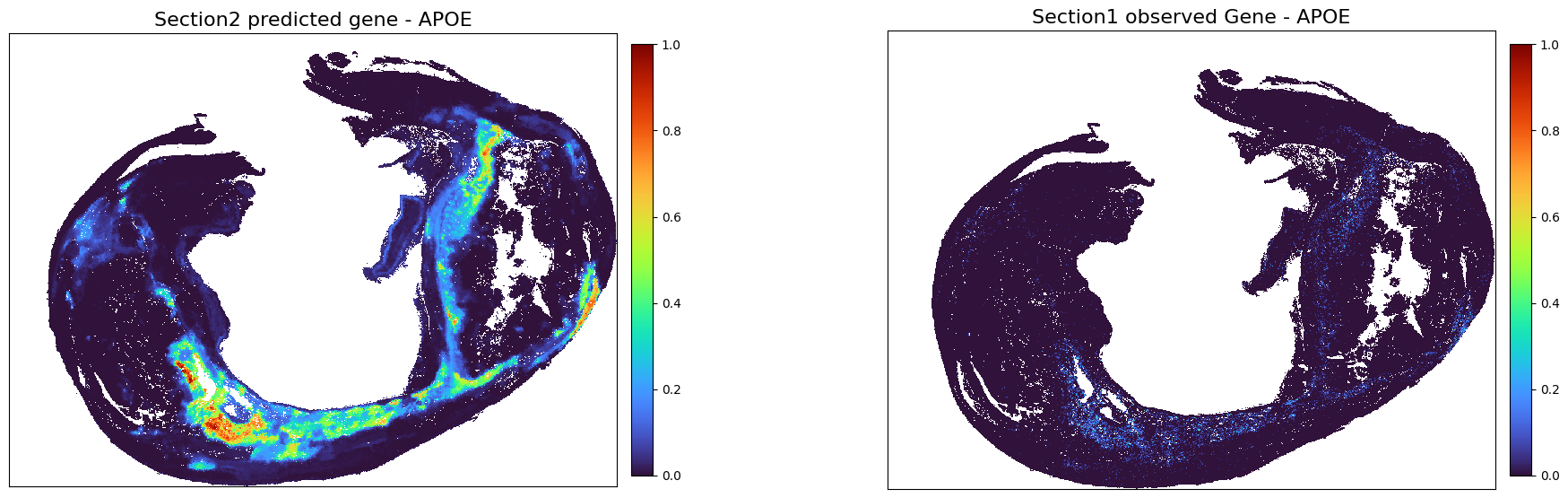 ../_images/notebooks_Tutorial2_Atherosclerosis%28Xenium_CODEX%29_56_0.png
