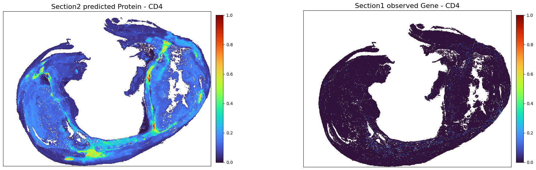 ../_images/notebooks_Tutorial2_Atherosclerosis%28Xenium_CODEX%29_61_0.png
