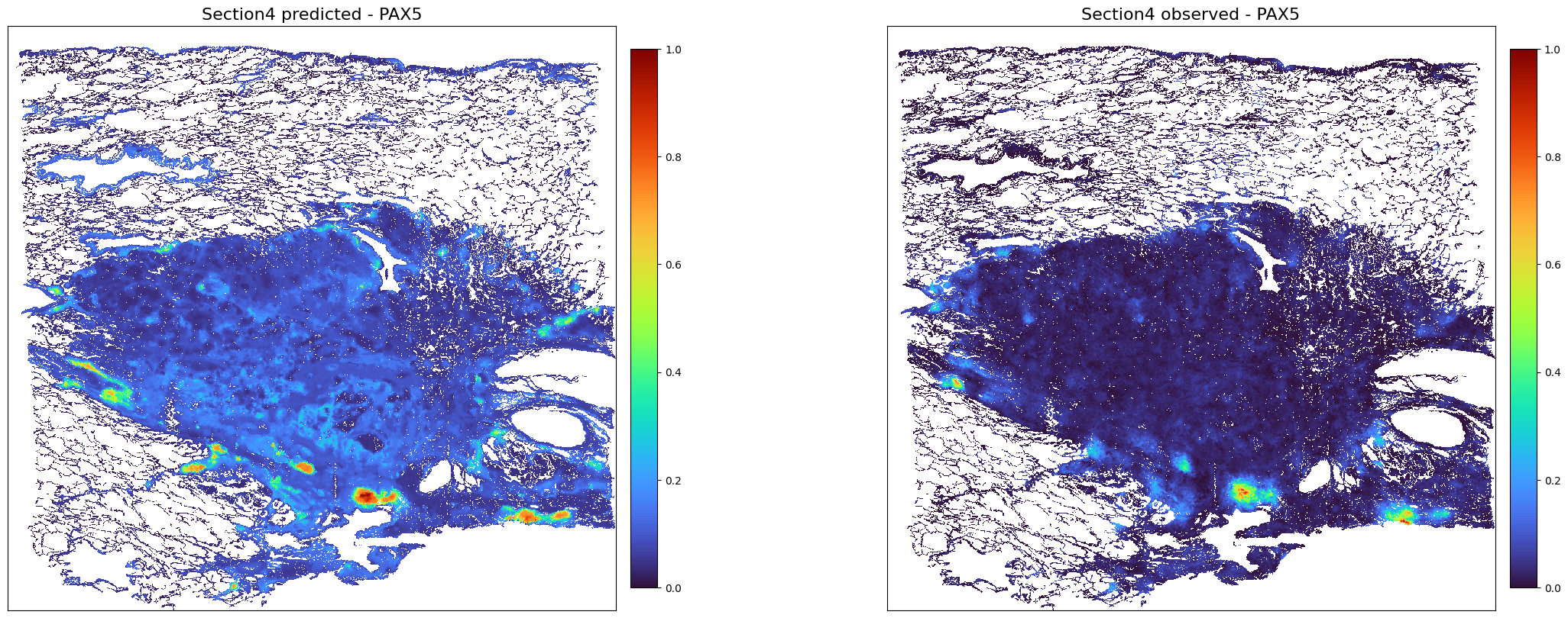 ../_images/notebooks_Tutorial7_Lung_cancer%2810x_Visium_Spatial_Gene_Protein%29_38_0.png