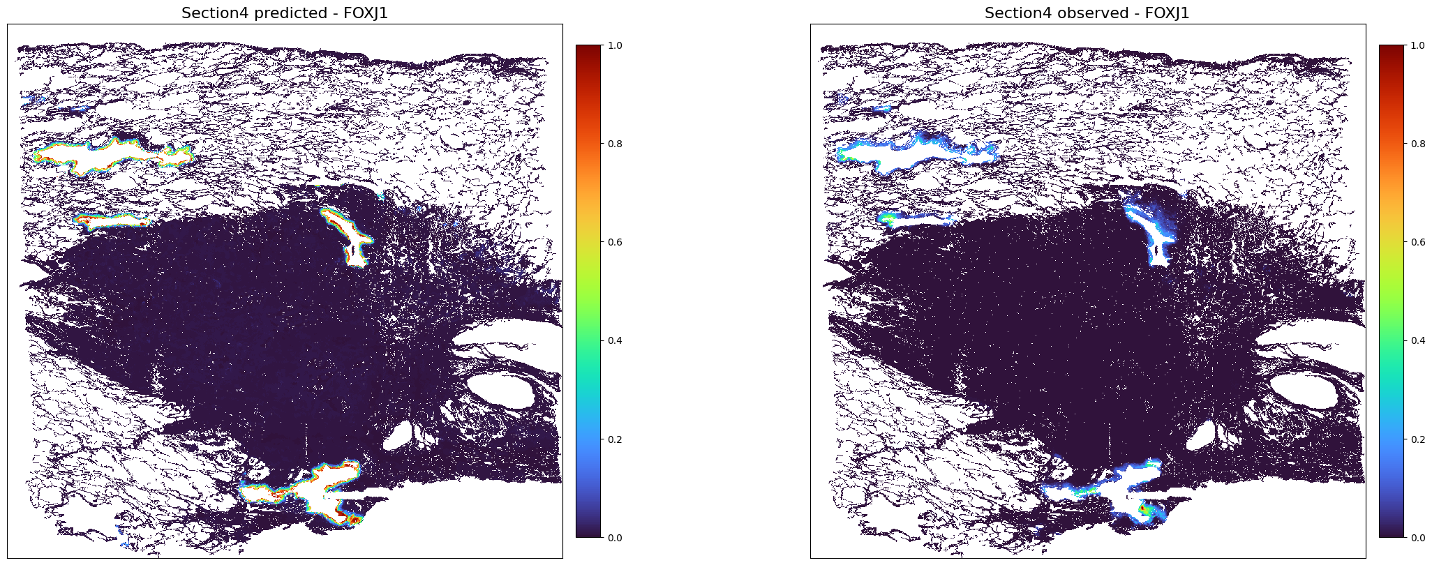 ../_images/notebooks_Tutorial7_Lung_cancer%2810x_Visium_Spatial_Gene_Protein%29_43_0.png